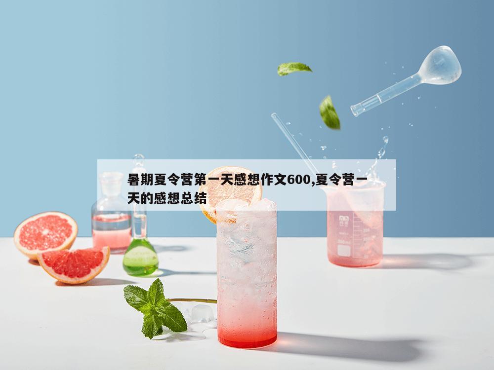 暑期夏令营第一天感想作文600,夏令营一天的感想总结