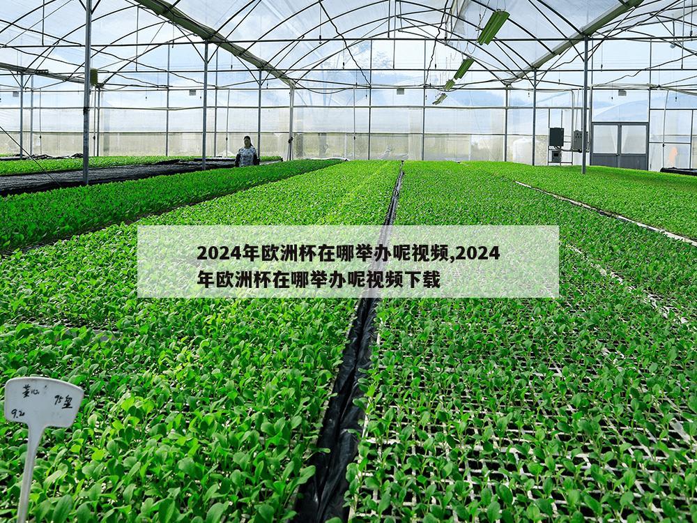 2024年欧洲杯在哪举办呢视频,2024年欧洲杯在哪举办呢视频下载