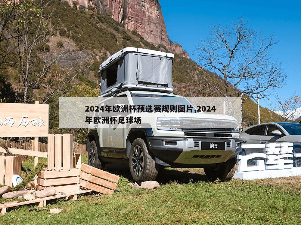 2024年欧洲杯预选赛规则图片,2024年欧洲杯足球场