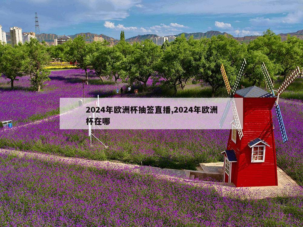 2024年欧洲杯抽签直播,2024年欧洲杯在哪