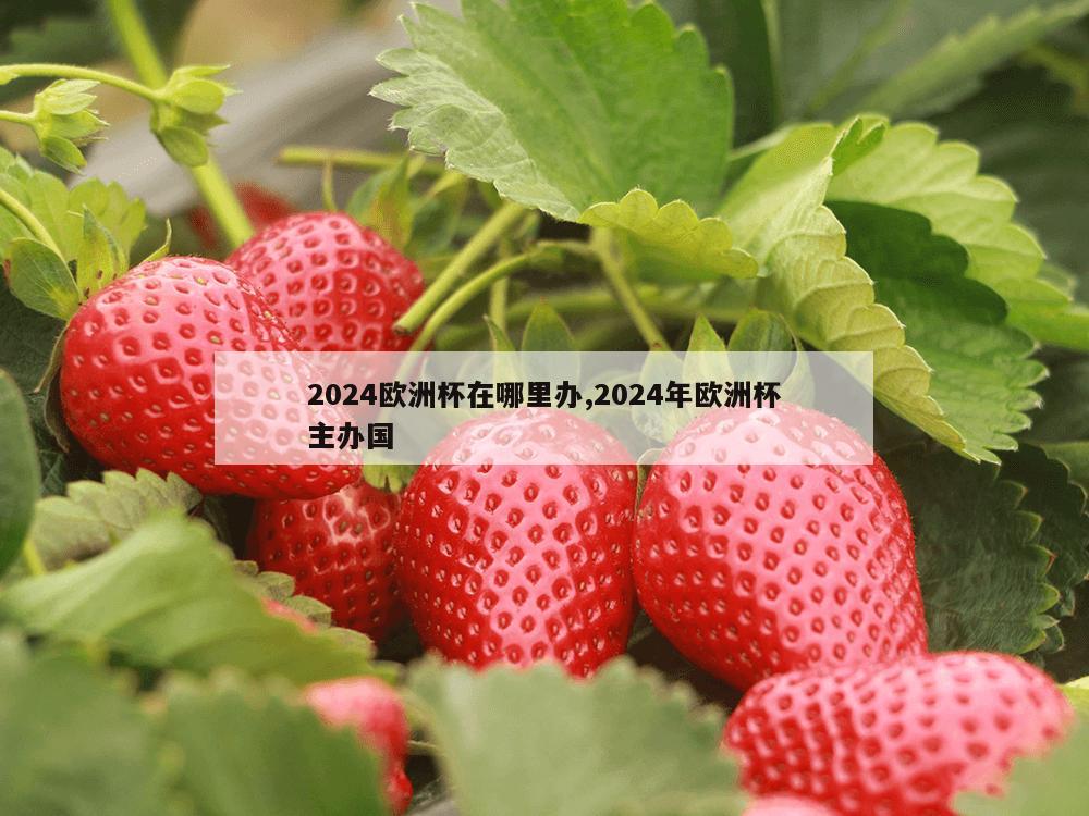 2024欧洲杯在哪里办,2024年欧洲杯主办国