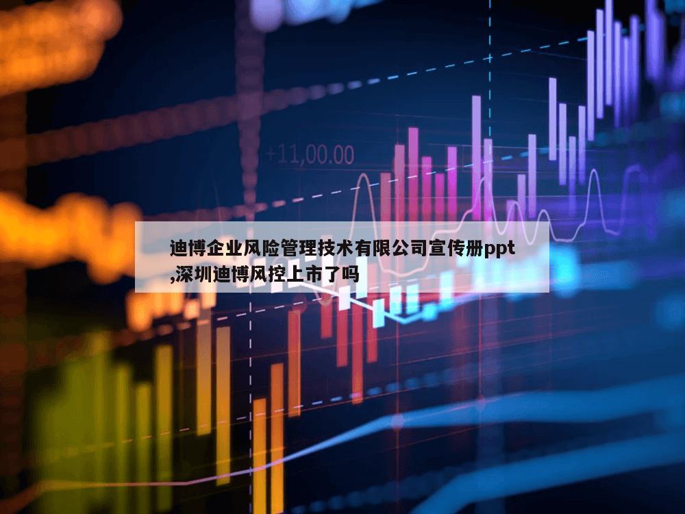 迪博企业风险管理技术有限公司宣传册ppt,深圳迪博风控上市了吗