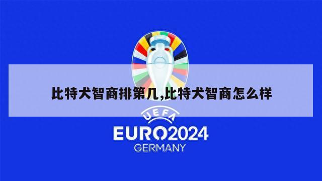 比特犬智商排第几,比特犬智商怎么样