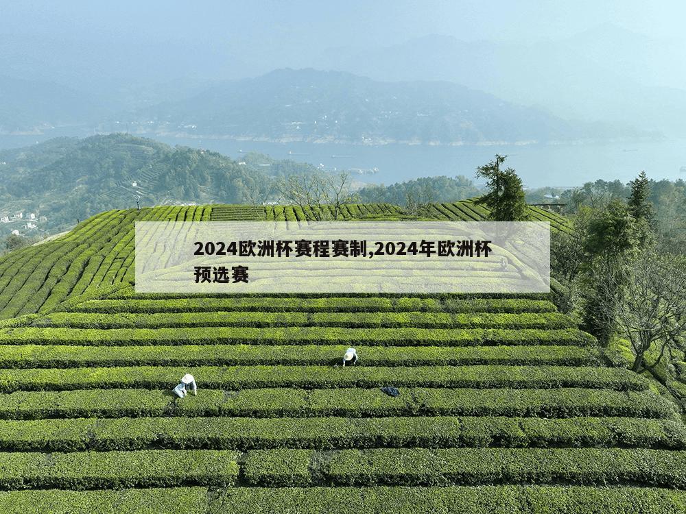 2024欧洲杯赛程赛制,2024年欧洲杯预选赛