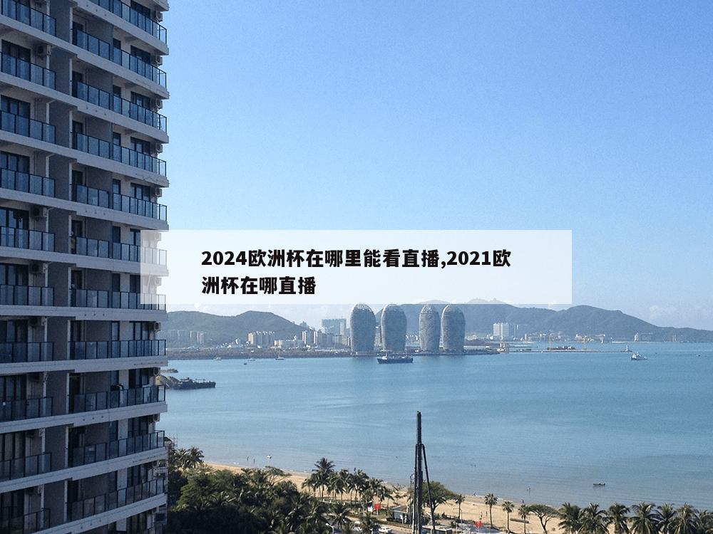 2024欧洲杯在哪里能看直播,2021欧洲杯在哪直播