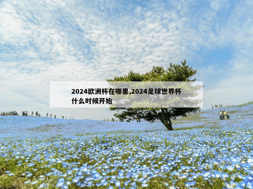 2024欧洲杯在哪里,2024足球世界杯什么时候开始