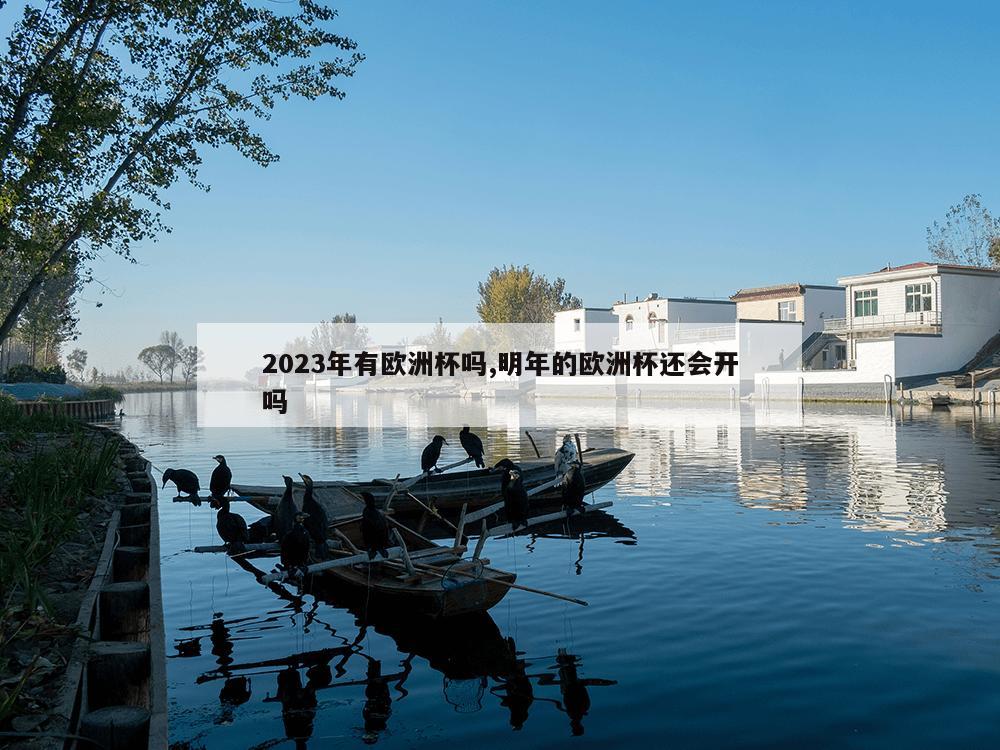 2023年有欧洲杯吗,明年的欧洲杯还会开吗