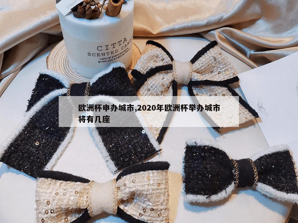 欧洲杯申办城市,2020年欧洲杯举办城市将有几座