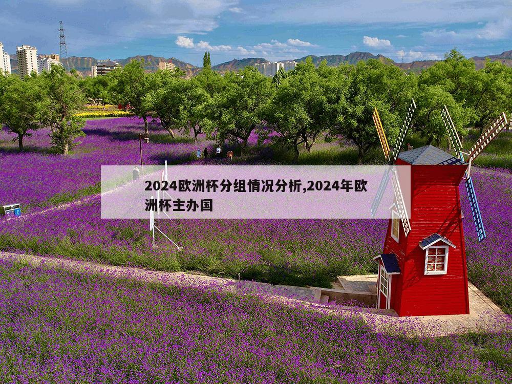 2024欧洲杯分组情况分析,2024年欧洲杯主办国